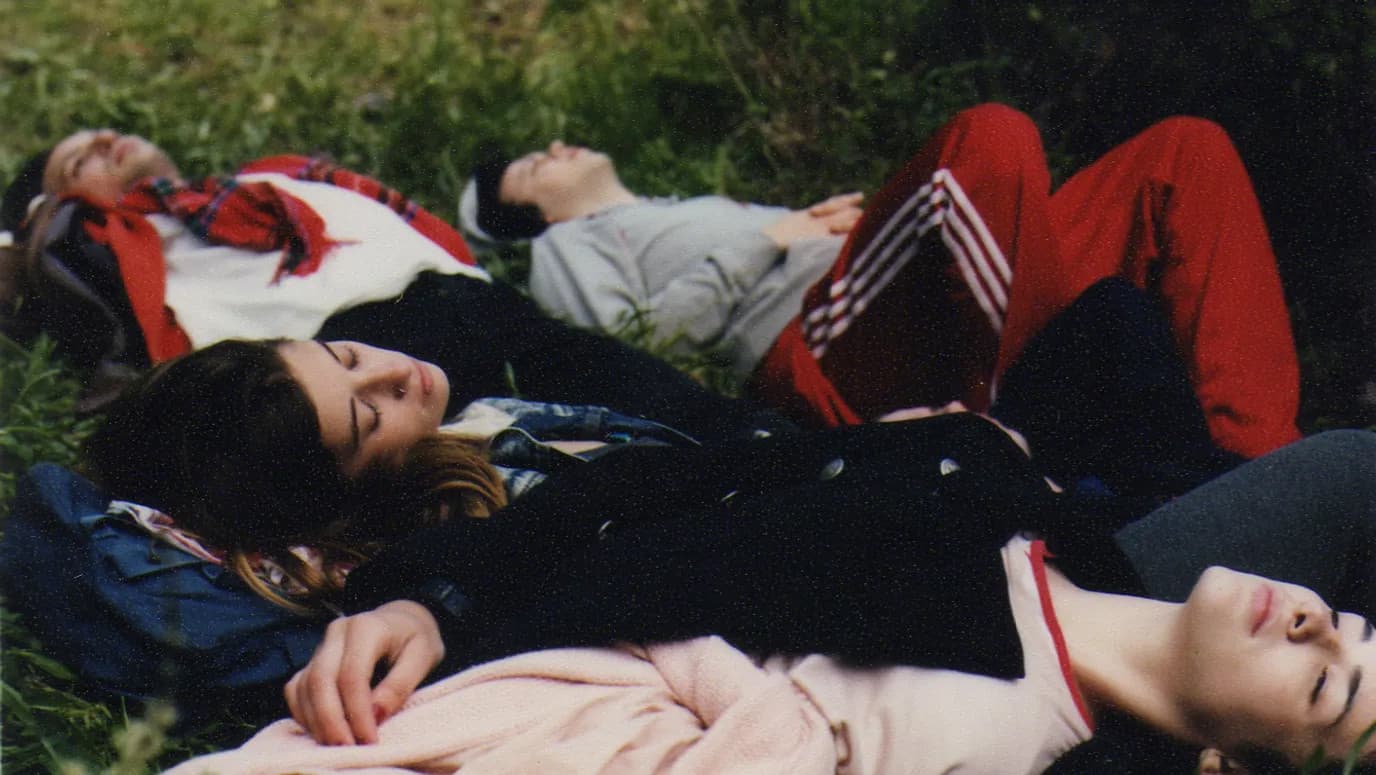 Poster backdrop for Lions