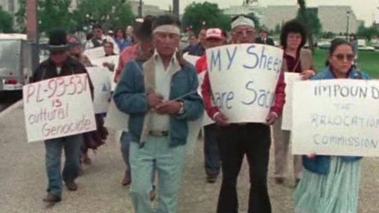 Poster backdrop for Broken Rainbow