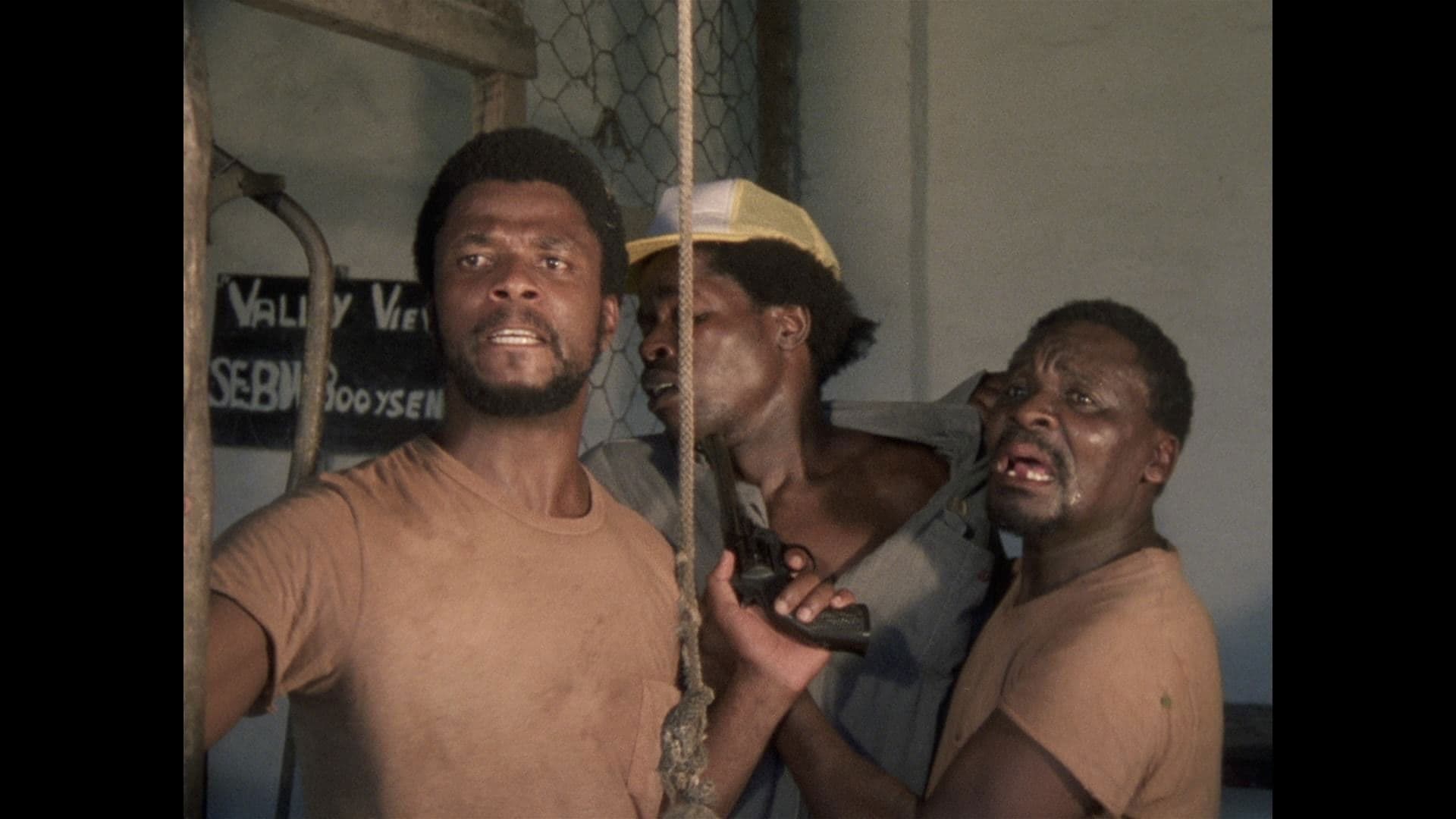 Poster backdrop for Fishy Stones
