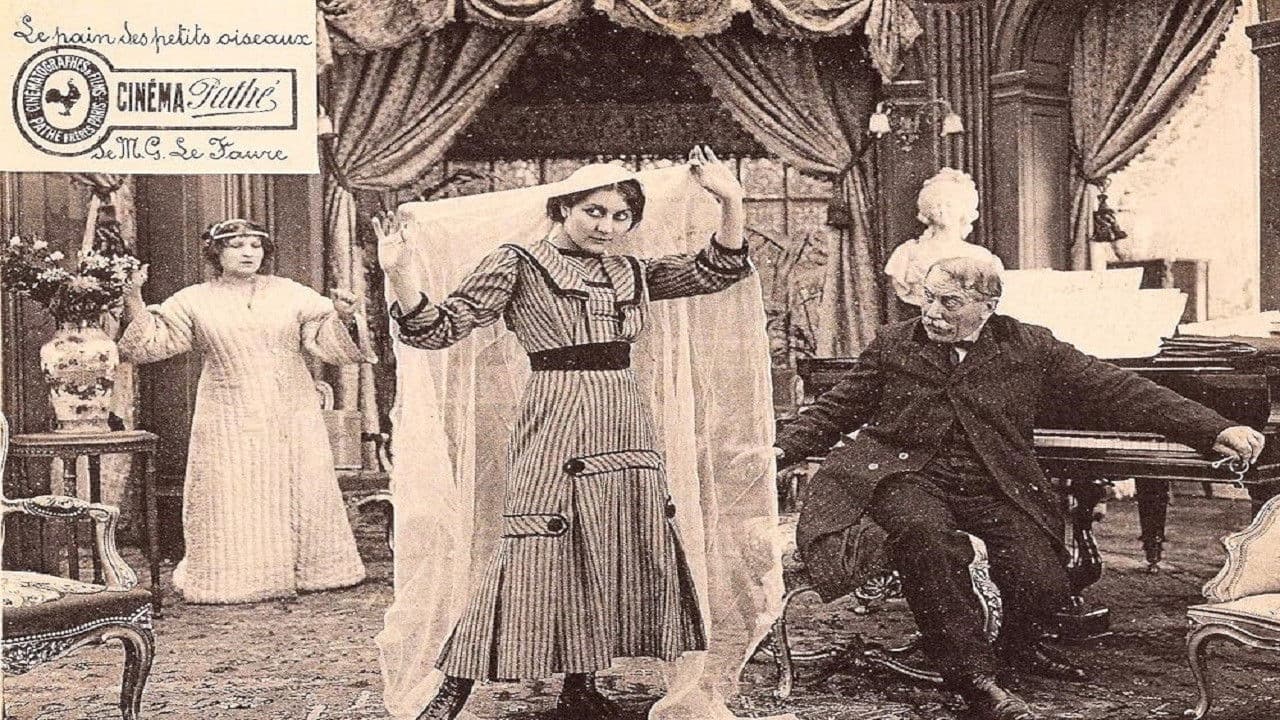 Poster backdrop for Bread for the Birds