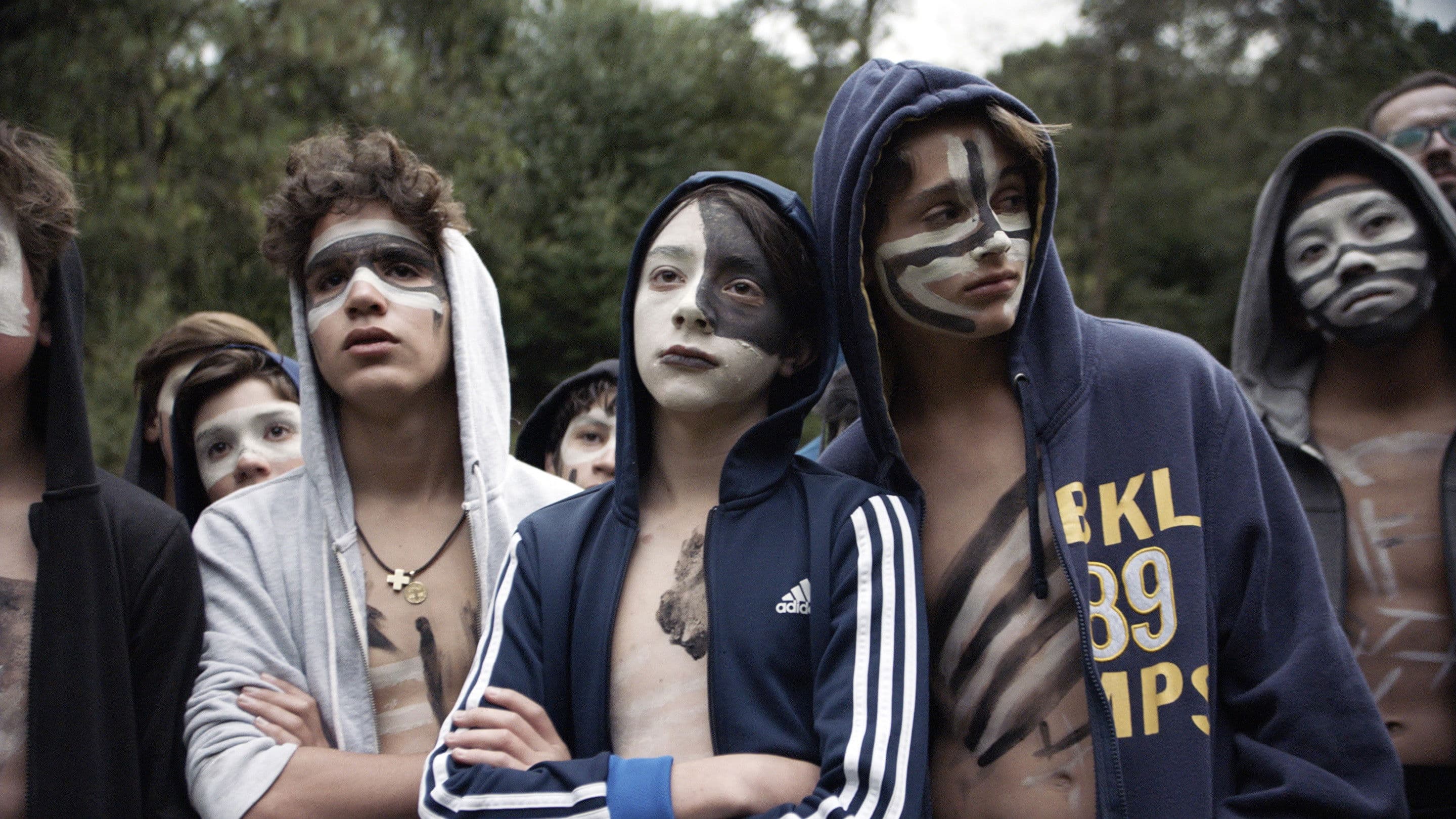 Poster backdrop for The Hole in the Fence