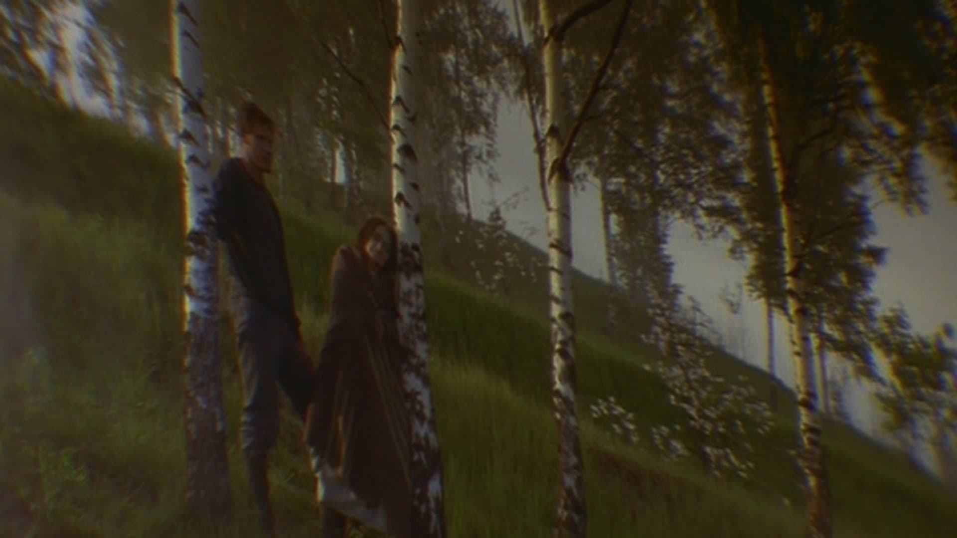 Poster backdrop for Mother and Son