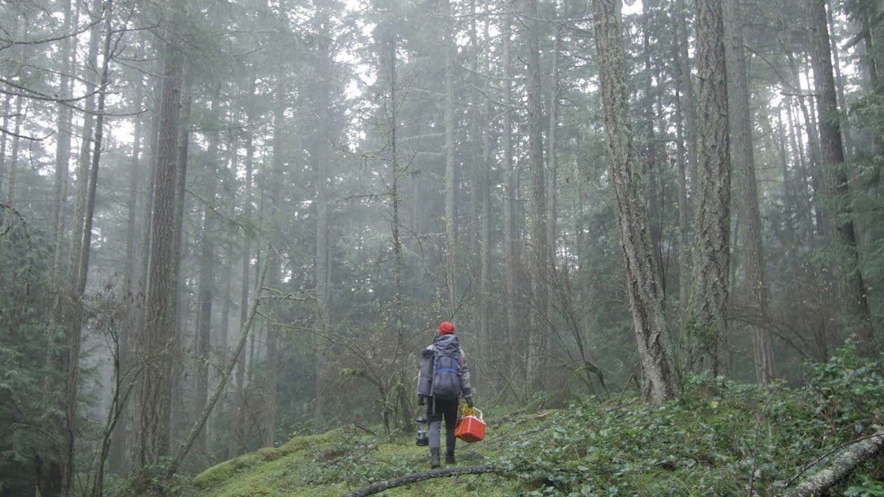 Poster backdrop for The Interior