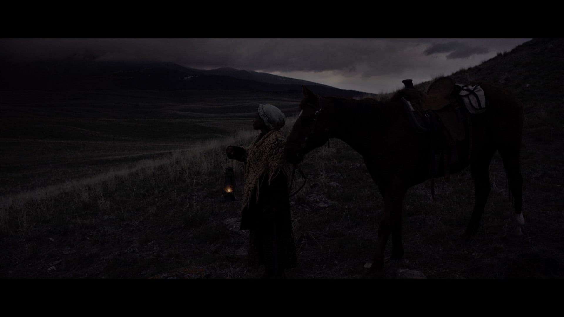 Poster backdrop for Ride By Night