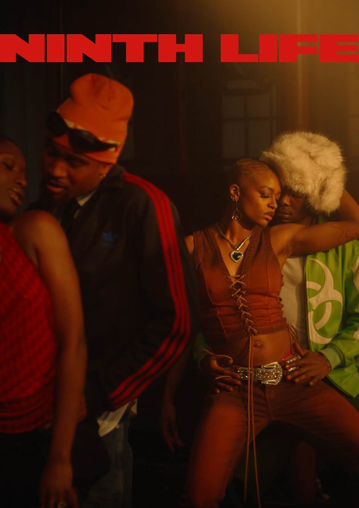 Poster backdrop for Ninth Life