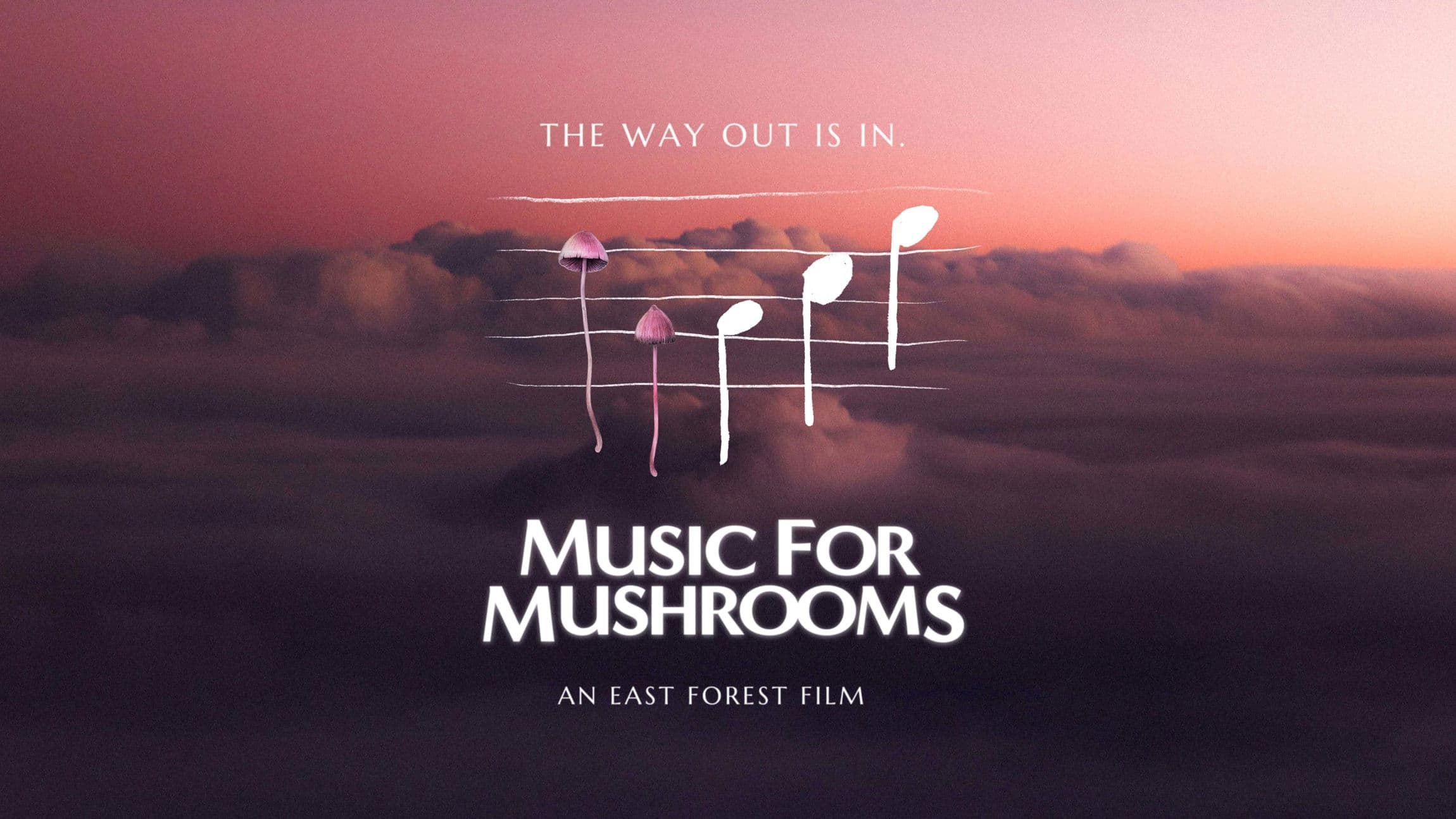Poster backdrop for Music for Mushrooms
