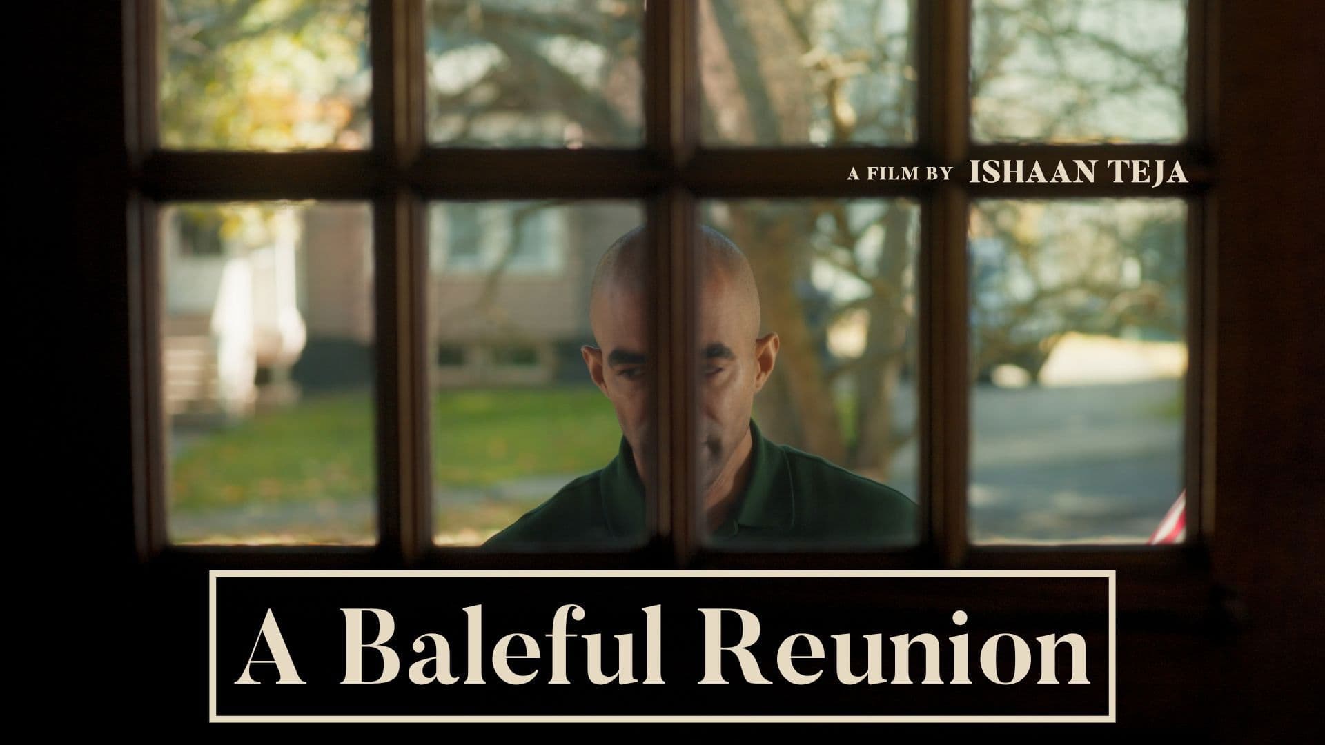 Poster backdrop for A Baleful Reunion