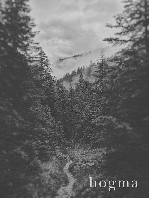 Poster backdrop for Hogma