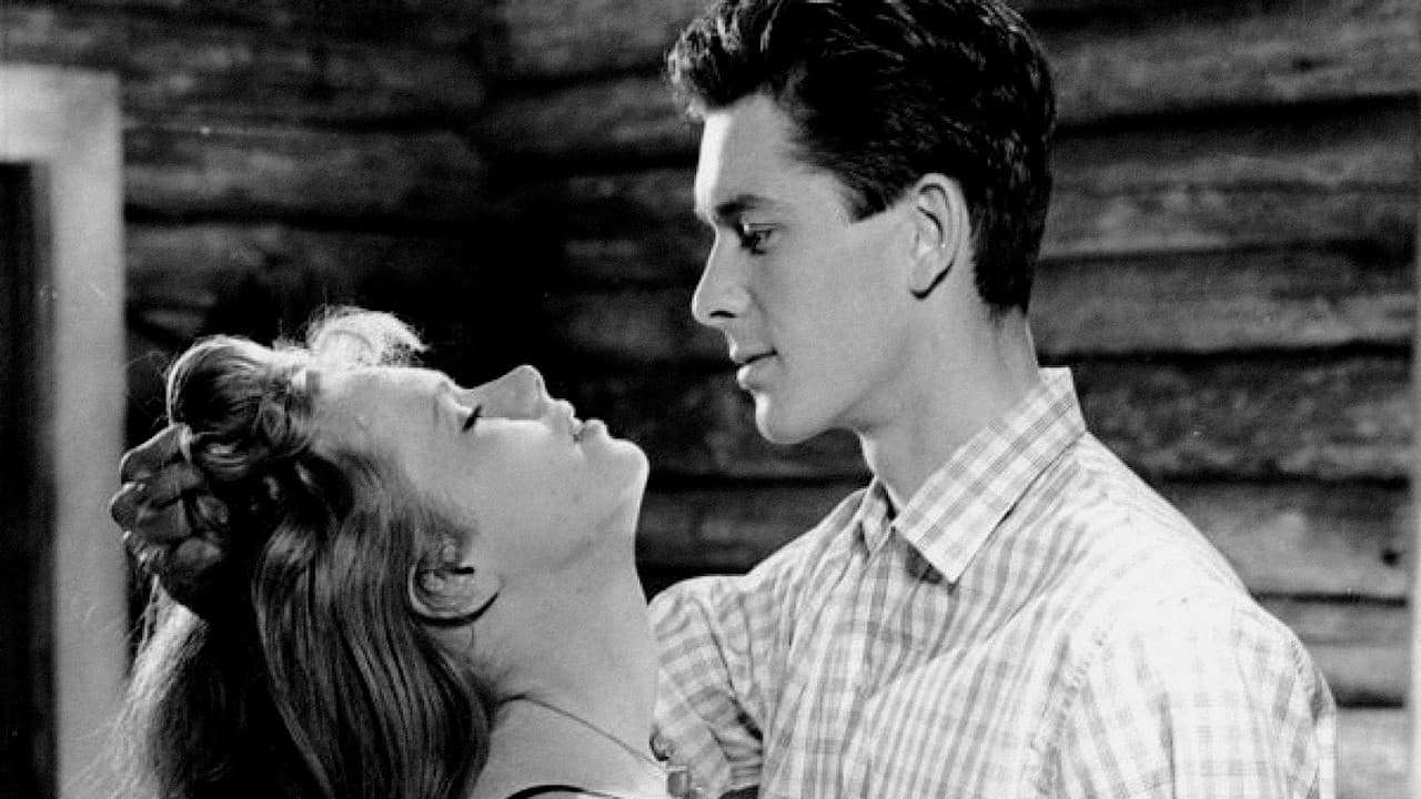 Poster backdrop for The Wayward Girl