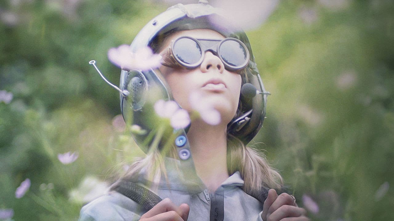 Poster backdrop for Meerkat Moonship