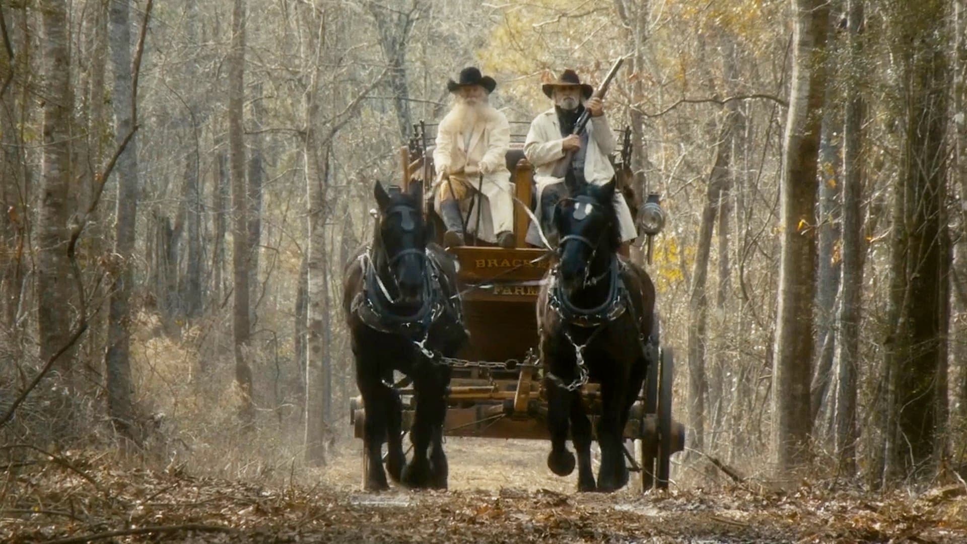 Poster backdrop for Bastard's Crossing