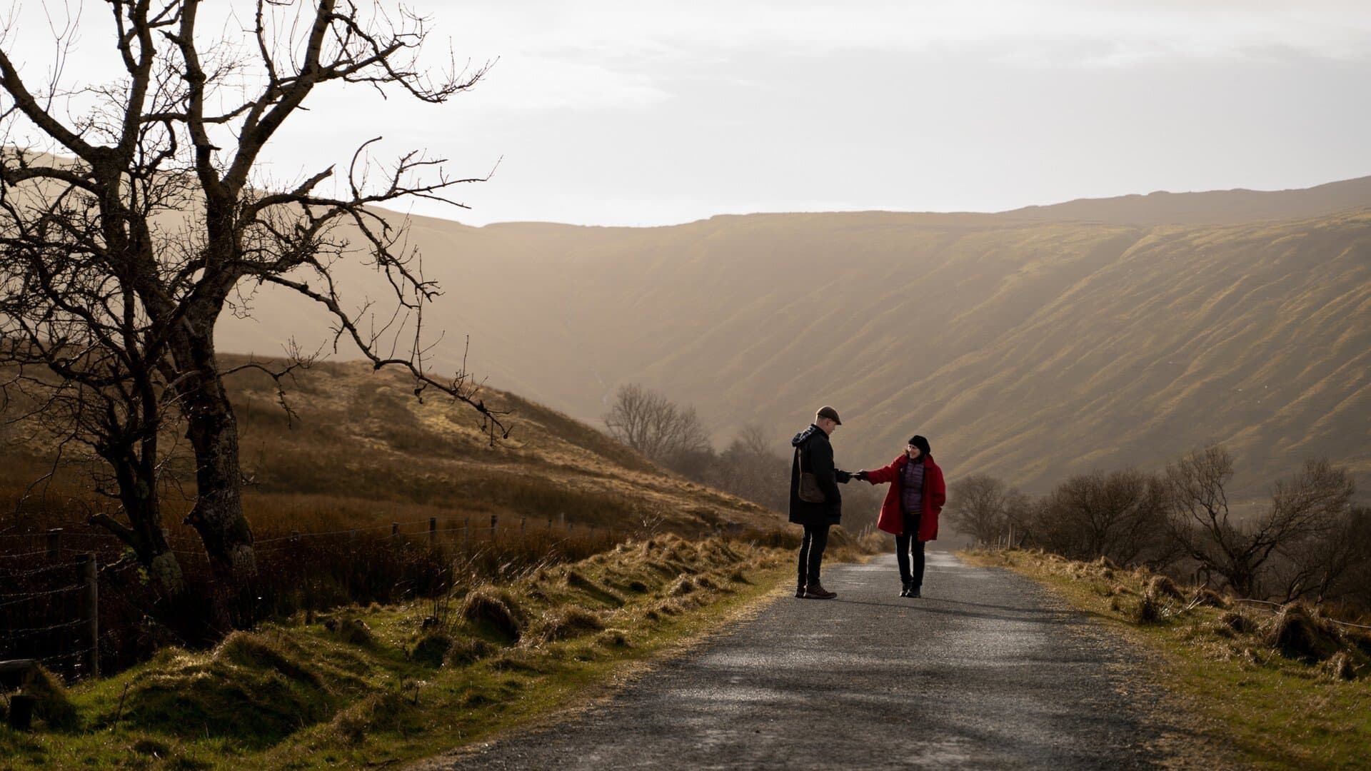 Poster backdrop for Horseshoe