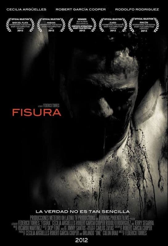 Poster backdrop for Fisura