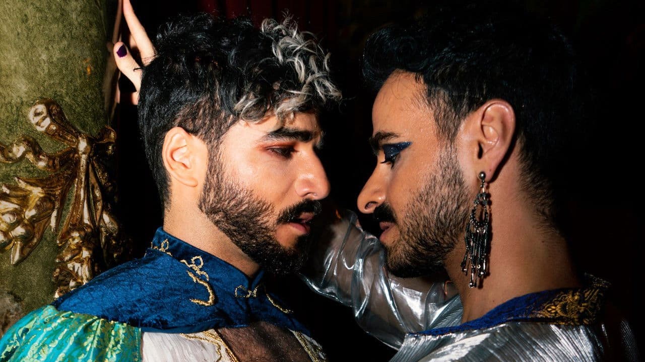 Poster backdrop for Habib & The Thief