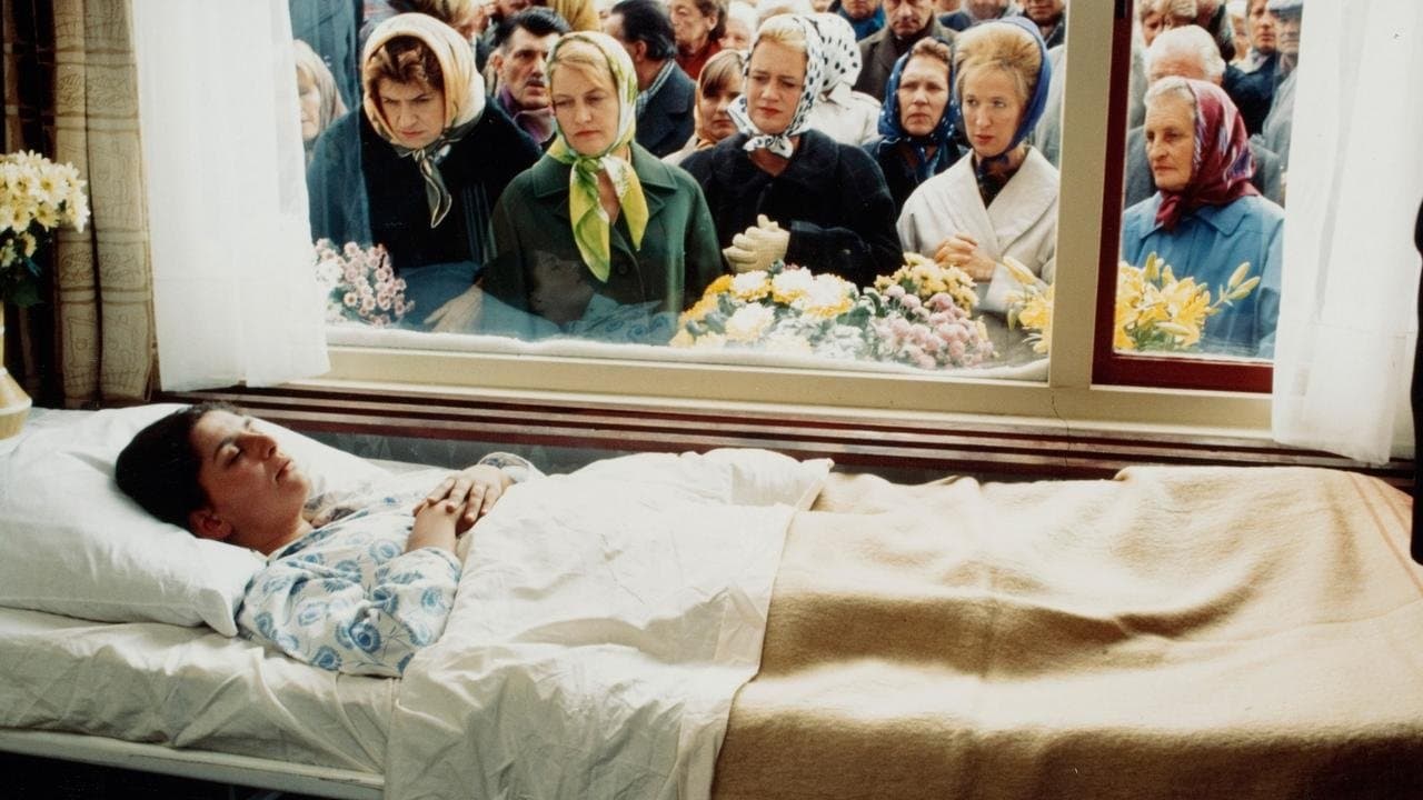 Poster backdrop for The Northerners