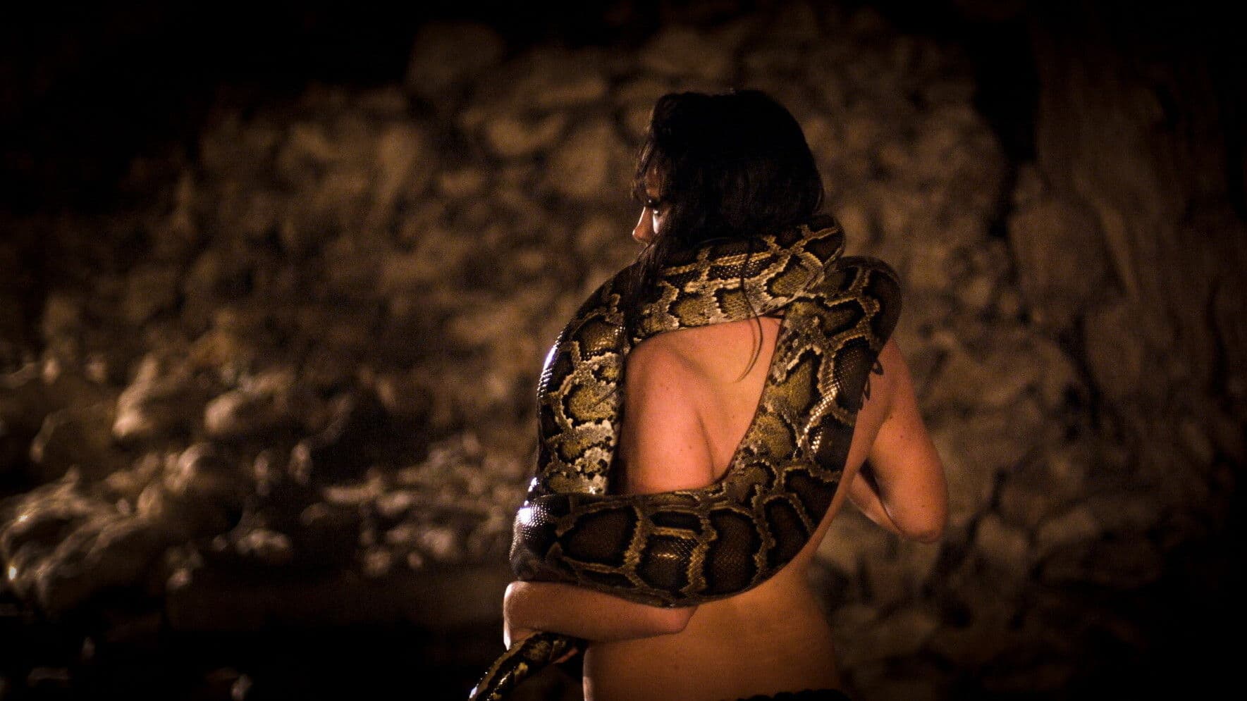 Poster backdrop for A Vampire's Tale