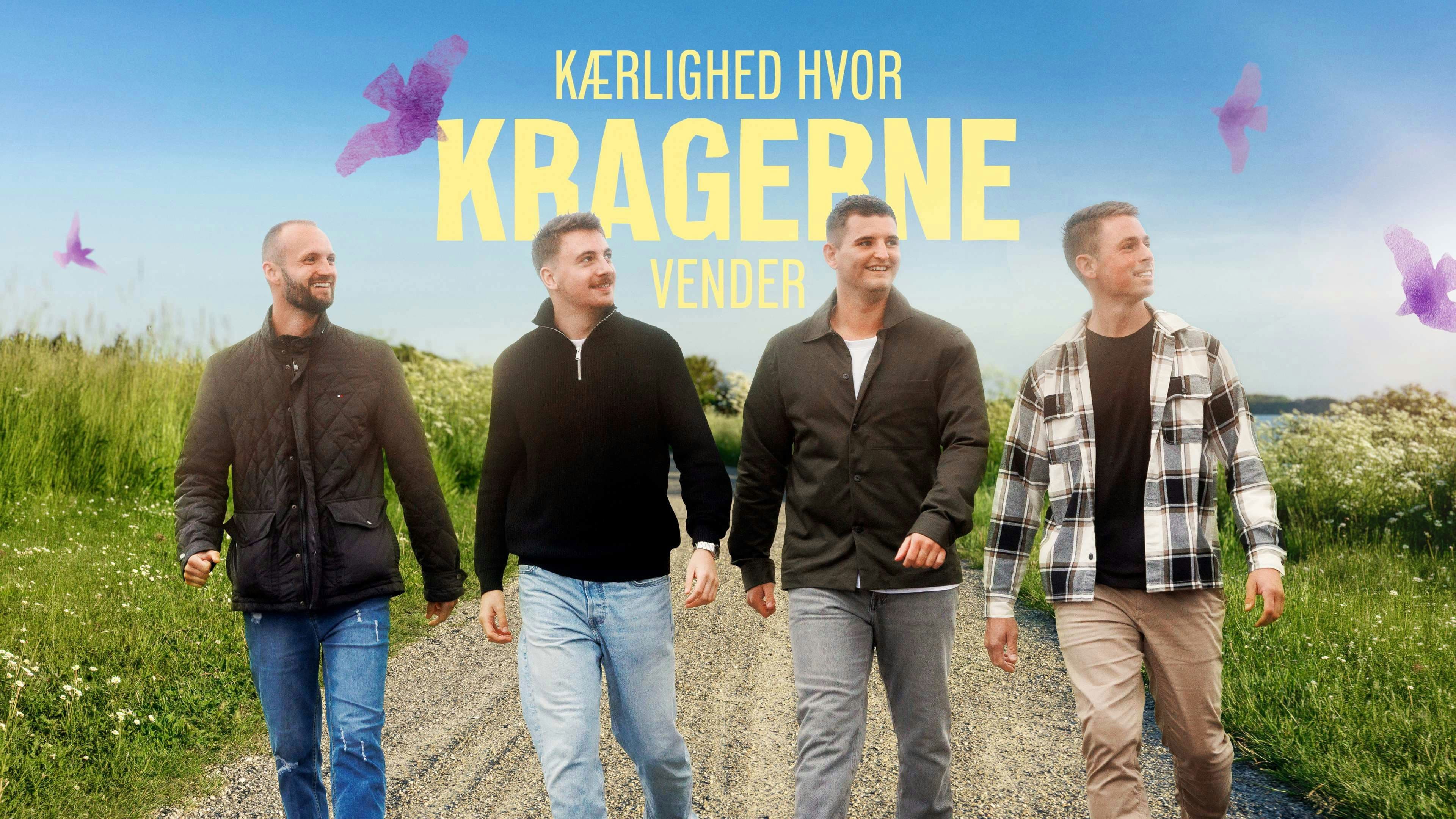 Poster backdrop for Kærlighed hvor kragerne vender