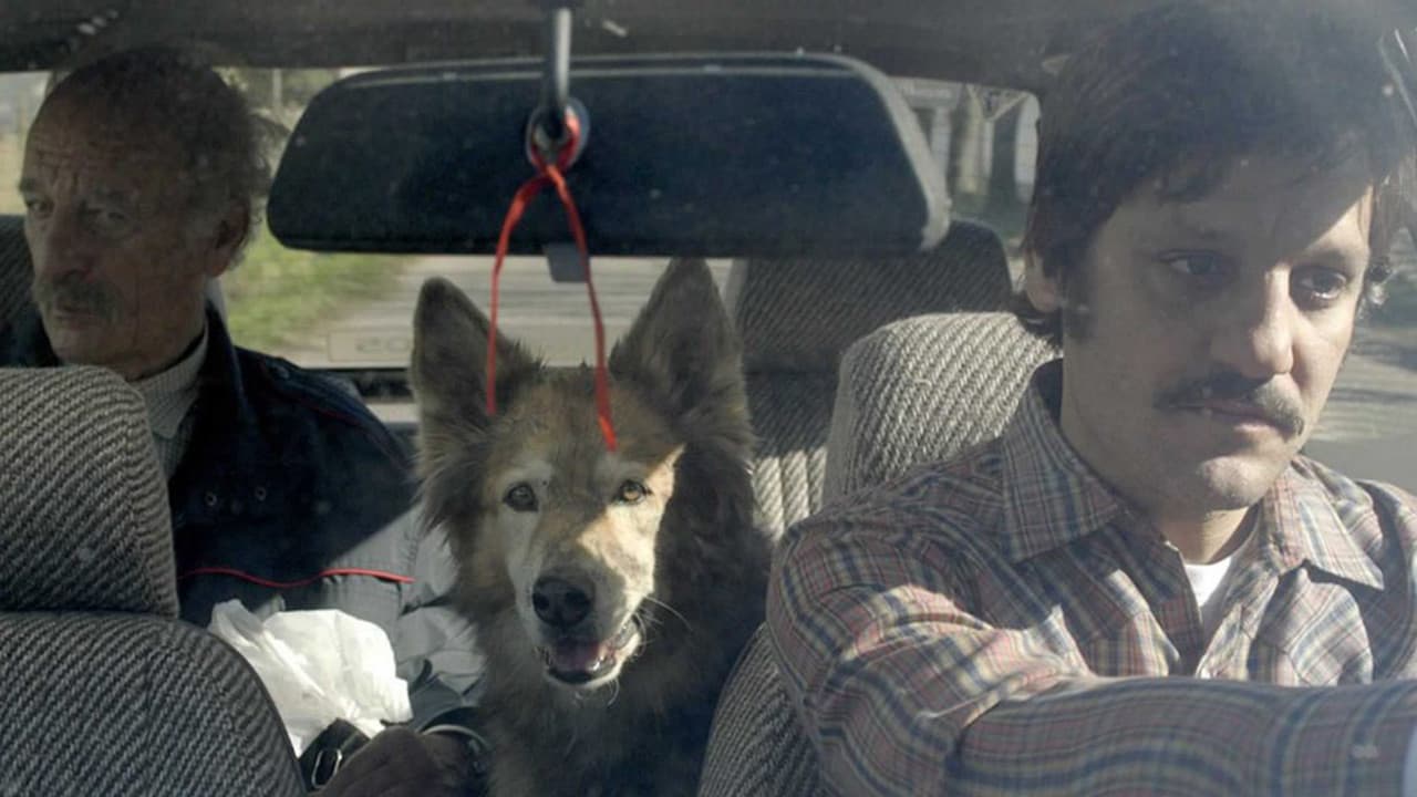 Poster backdrop for Road to La Paz