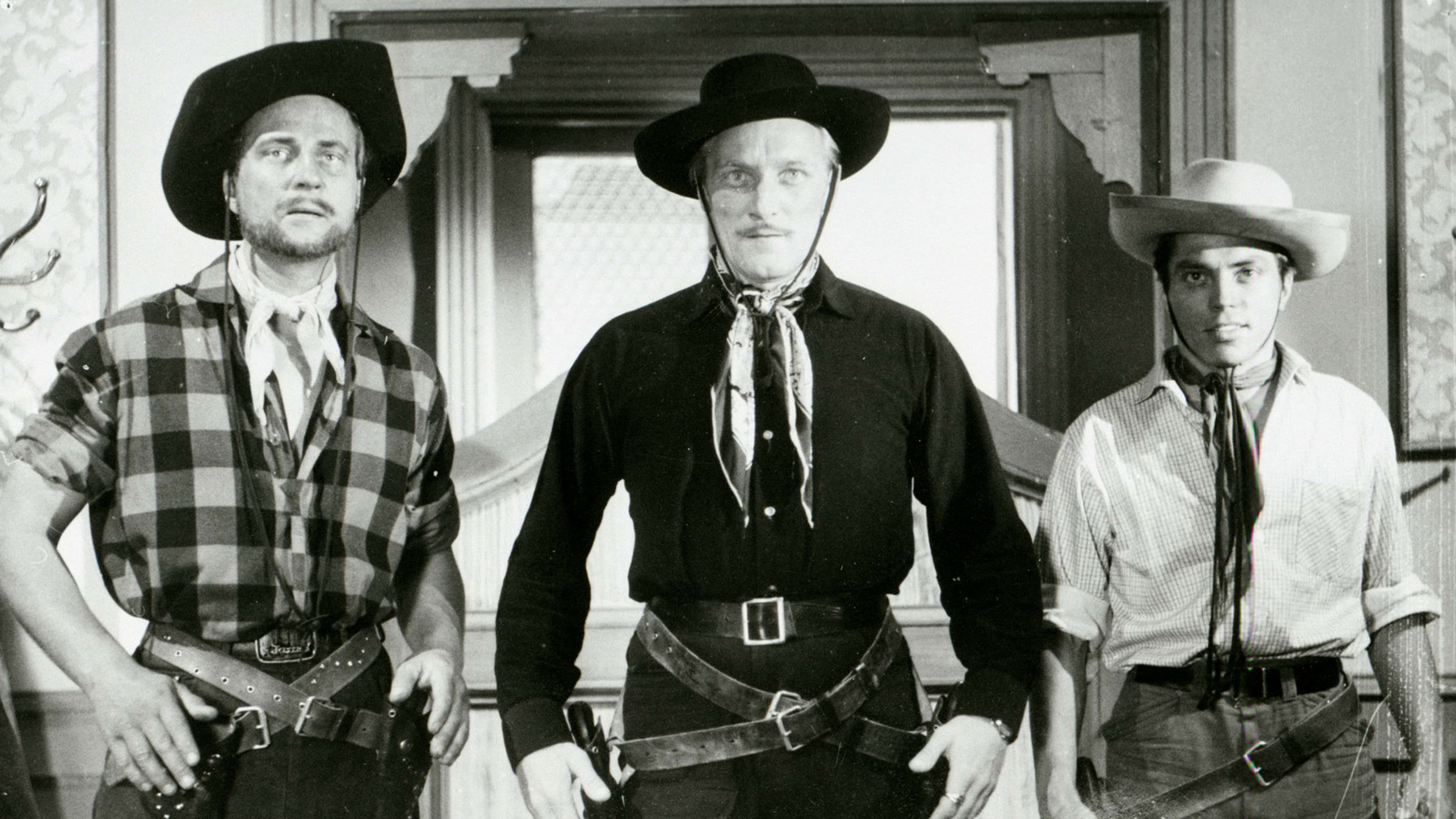 Poster backdrop for Villin Pohjolan kulta