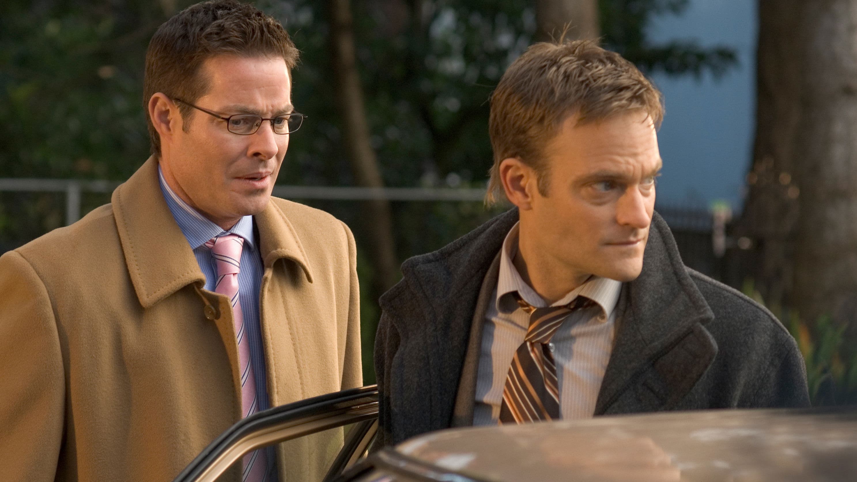 Poster backdrop for Ice Blues: A Donald Strachey Mystery