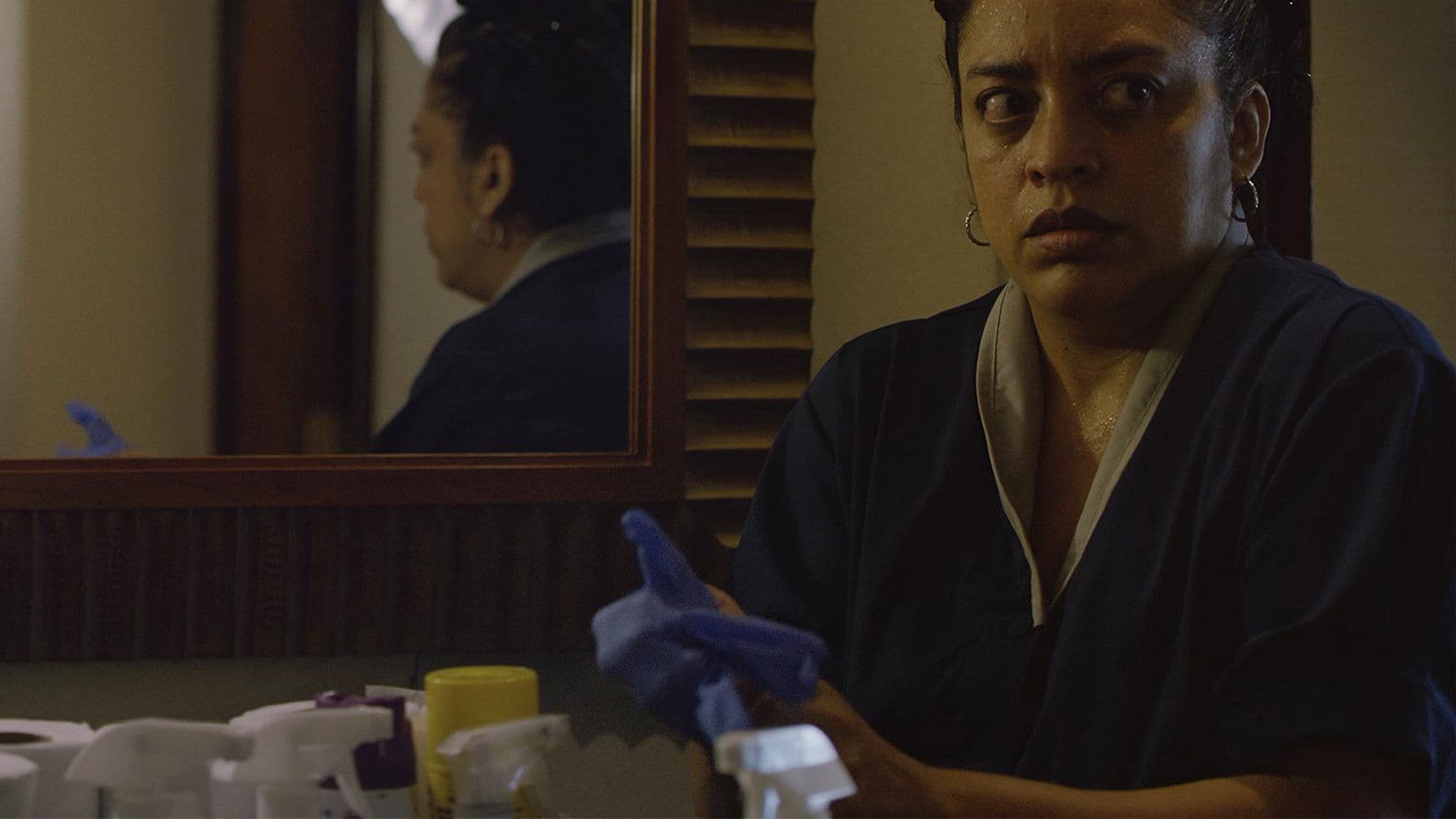 Poster backdrop for Maid