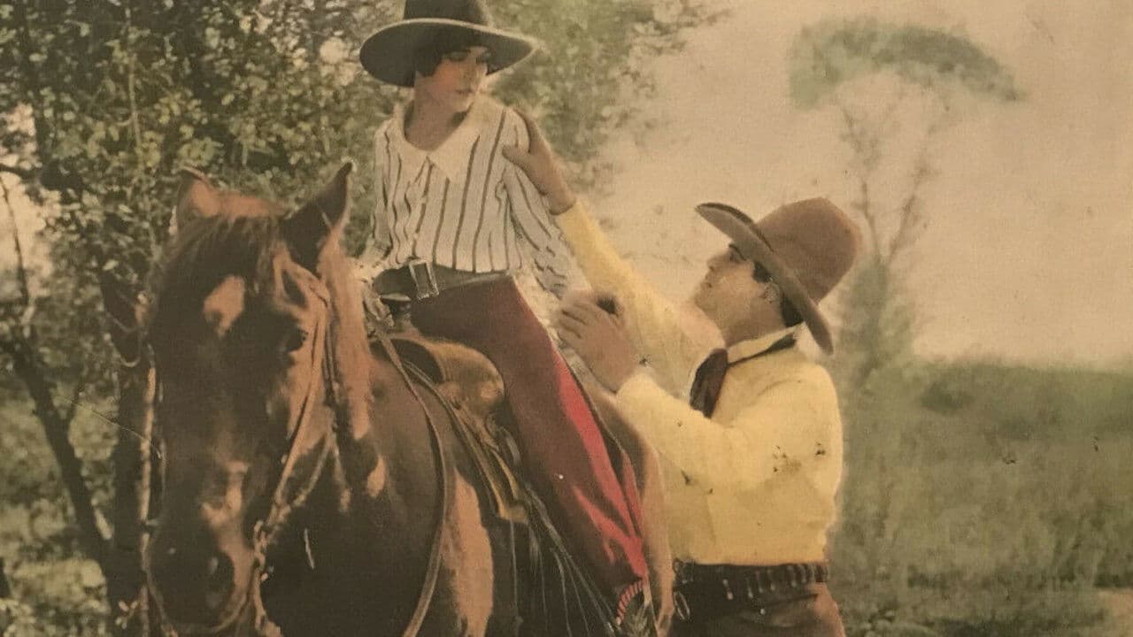 Poster backdrop for Hurricane Hal