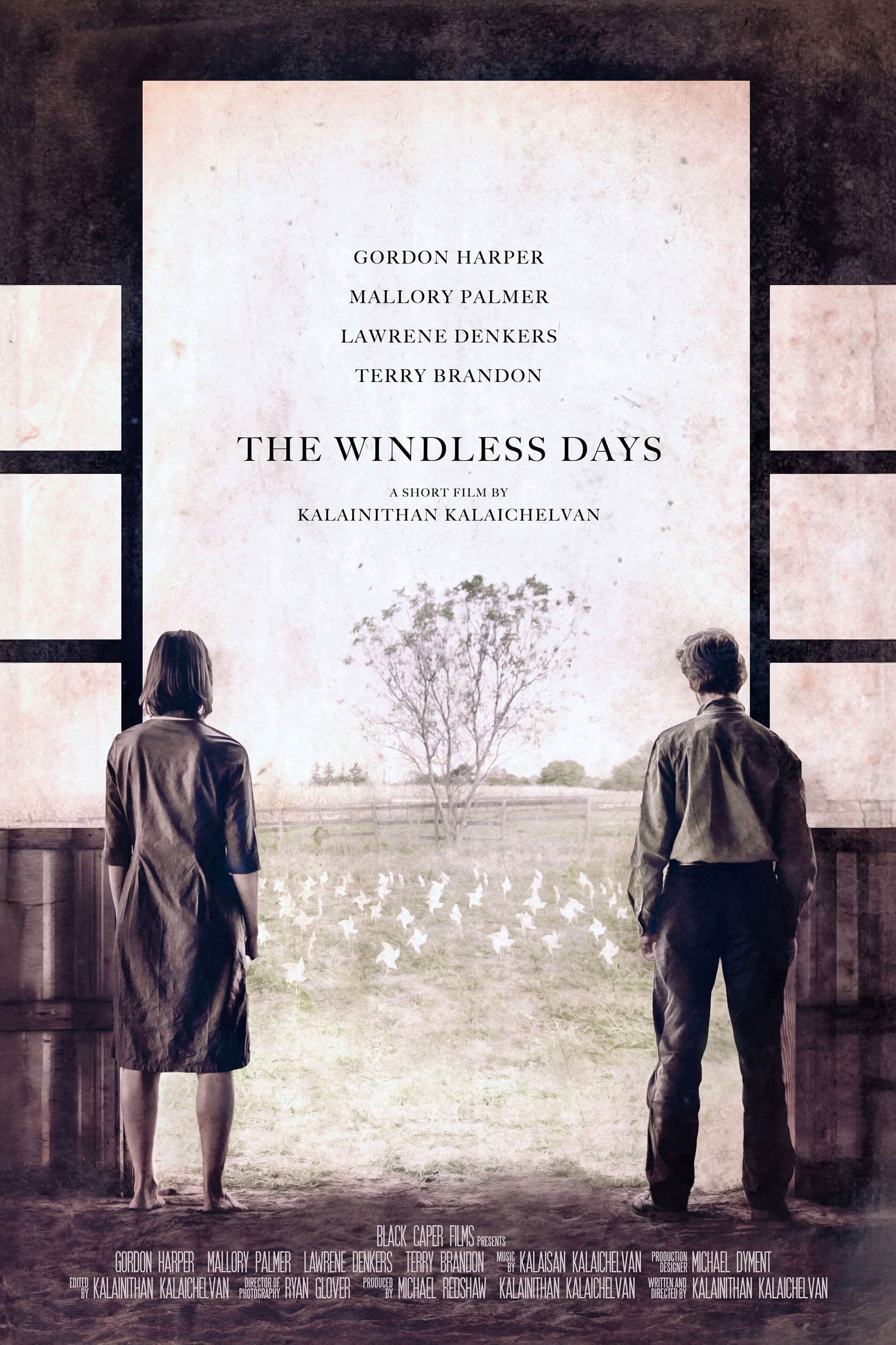 Poster backdrop for The Windless Days