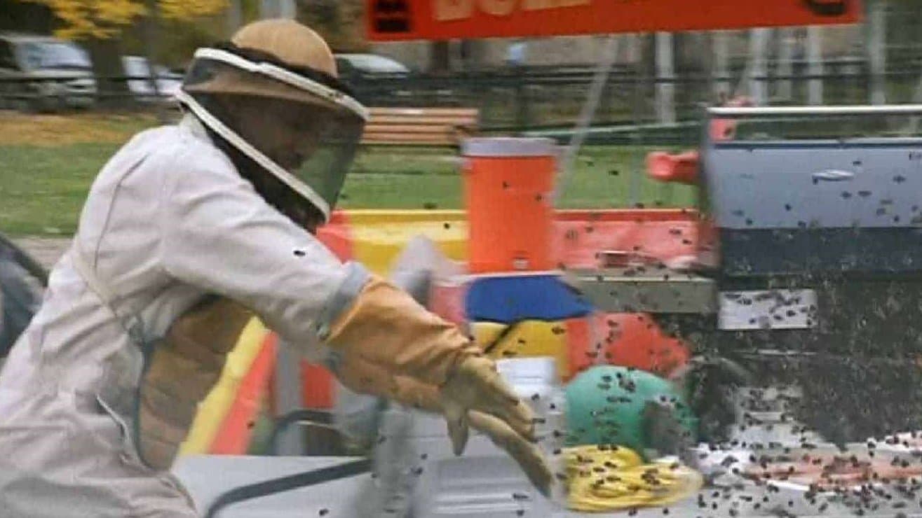 Poster backdrop for Swarmed