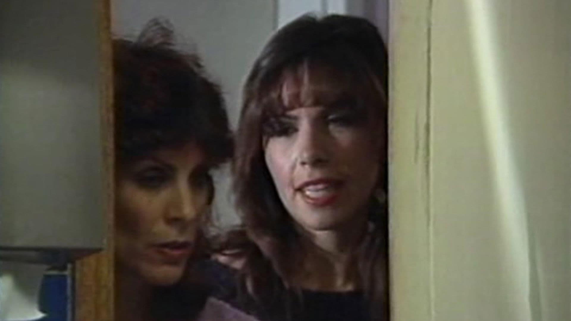 Poster backdrop for Night on the Wild Side