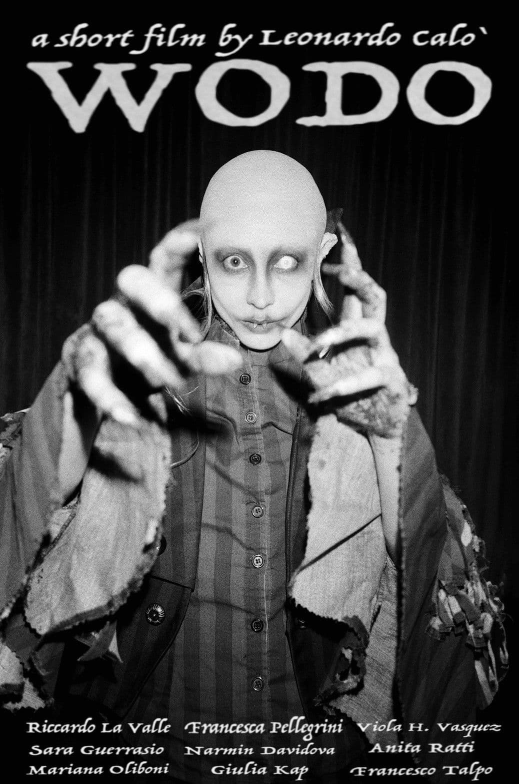 Poster backdrop for Wodo