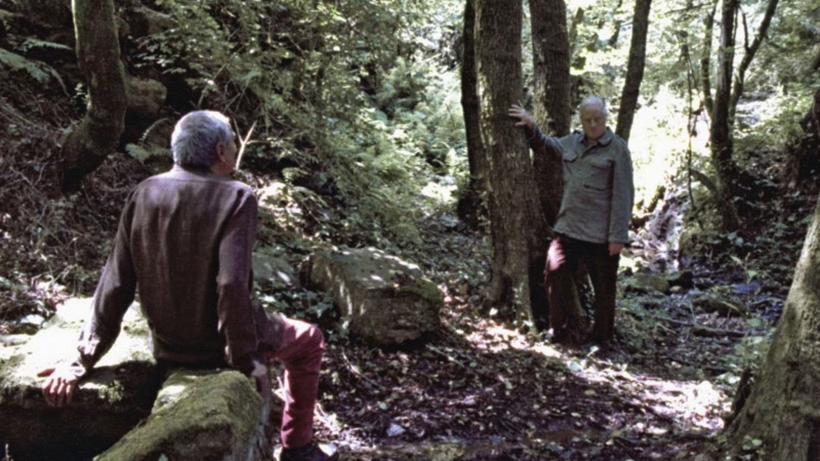 Poster backdrop for Artemide’s Knee