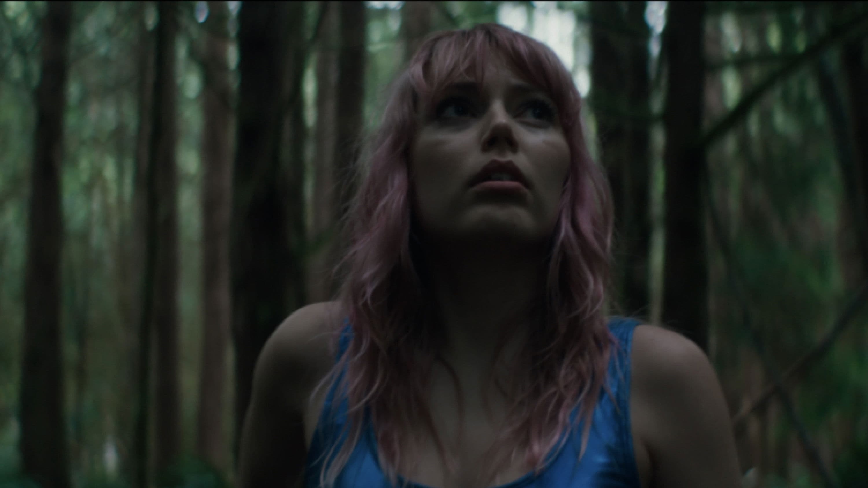 Poster backdrop for The Swallow