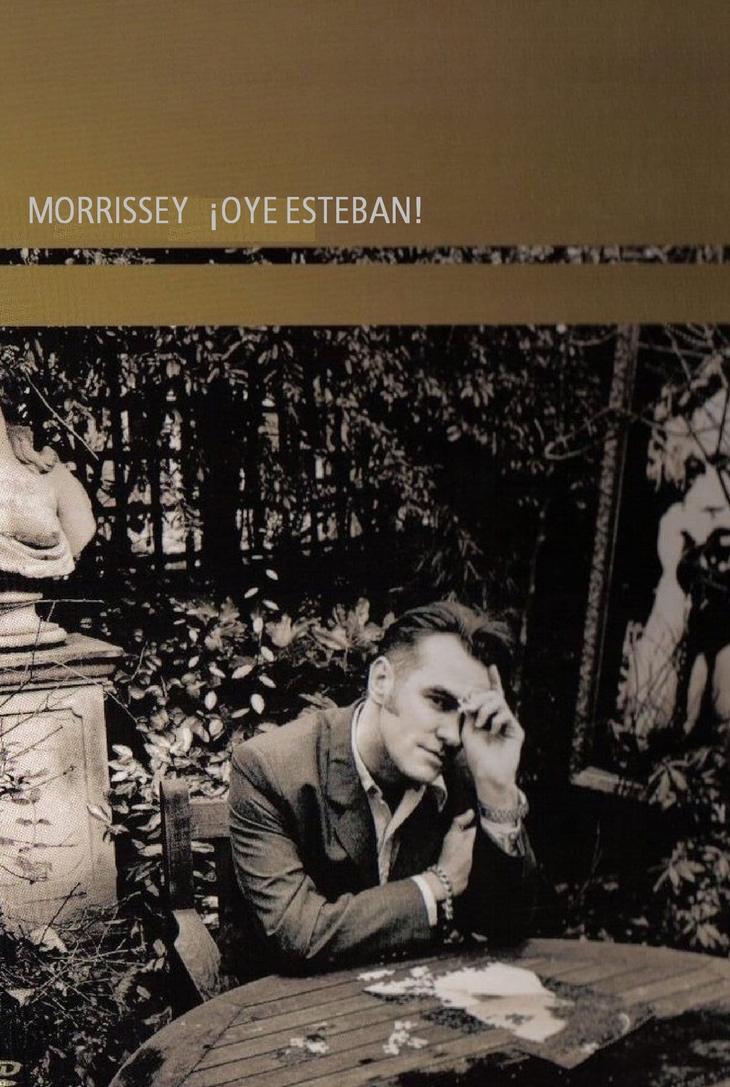 Poster backdrop for Morrissey: ¡Oye Esteban!