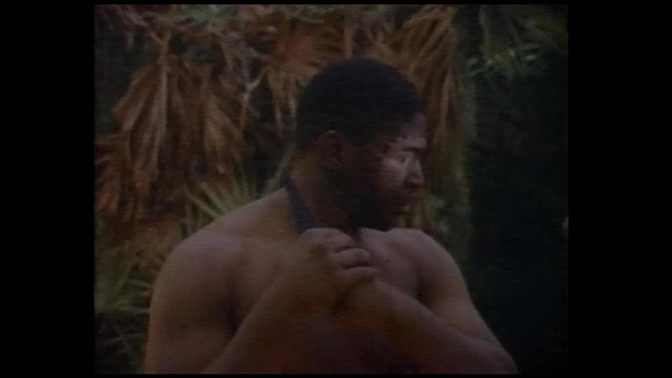 Poster backdrop for Faces of Death IV