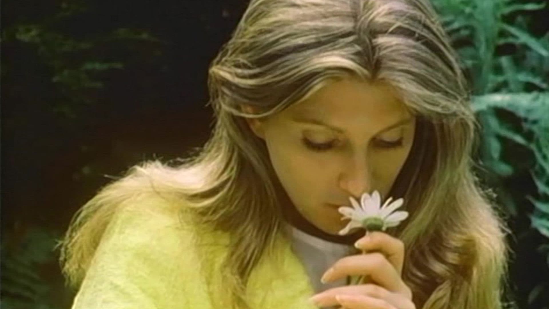 Poster backdrop for Sometime Sweet Susan