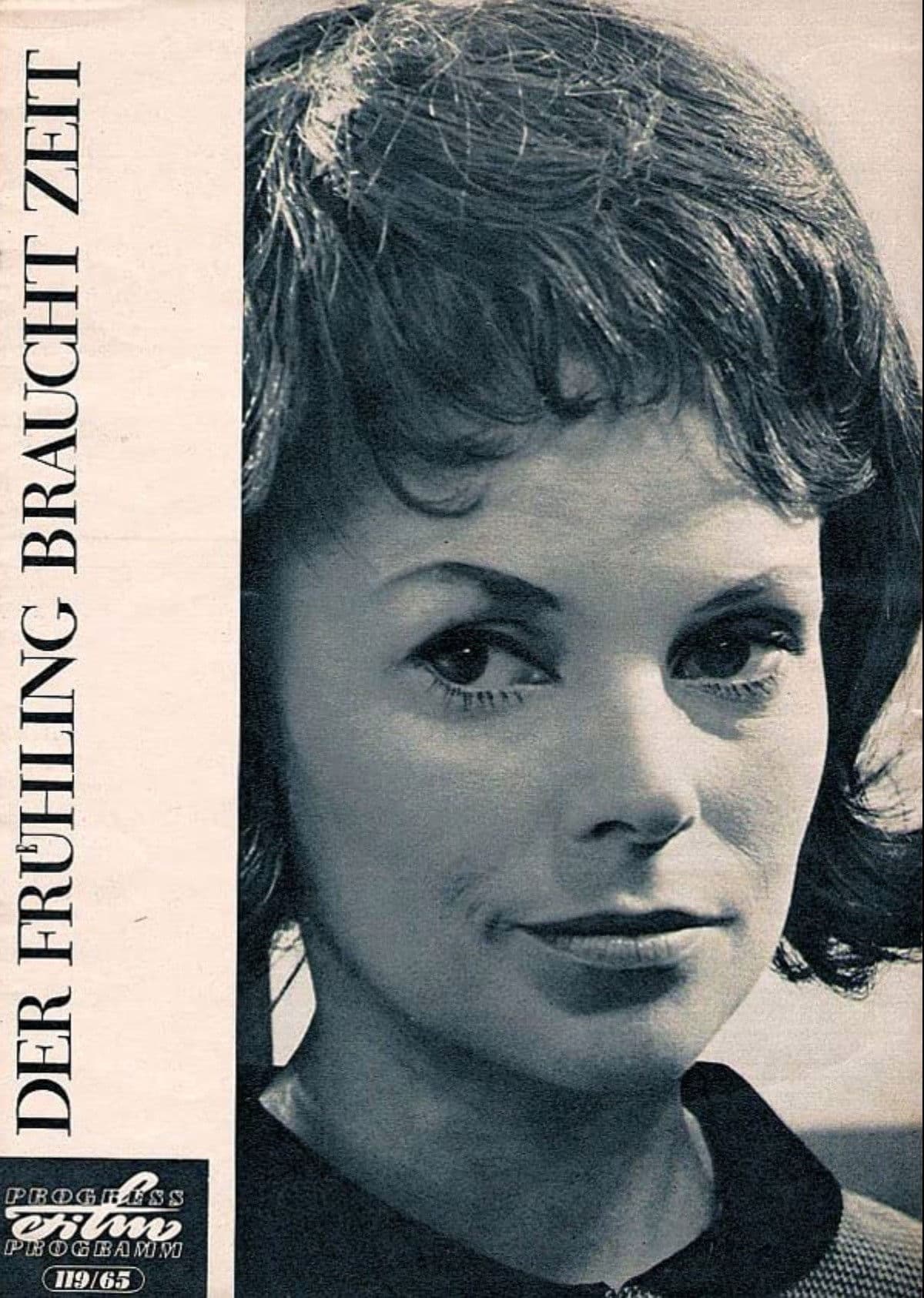 Poster backdrop for Spring Takes Time