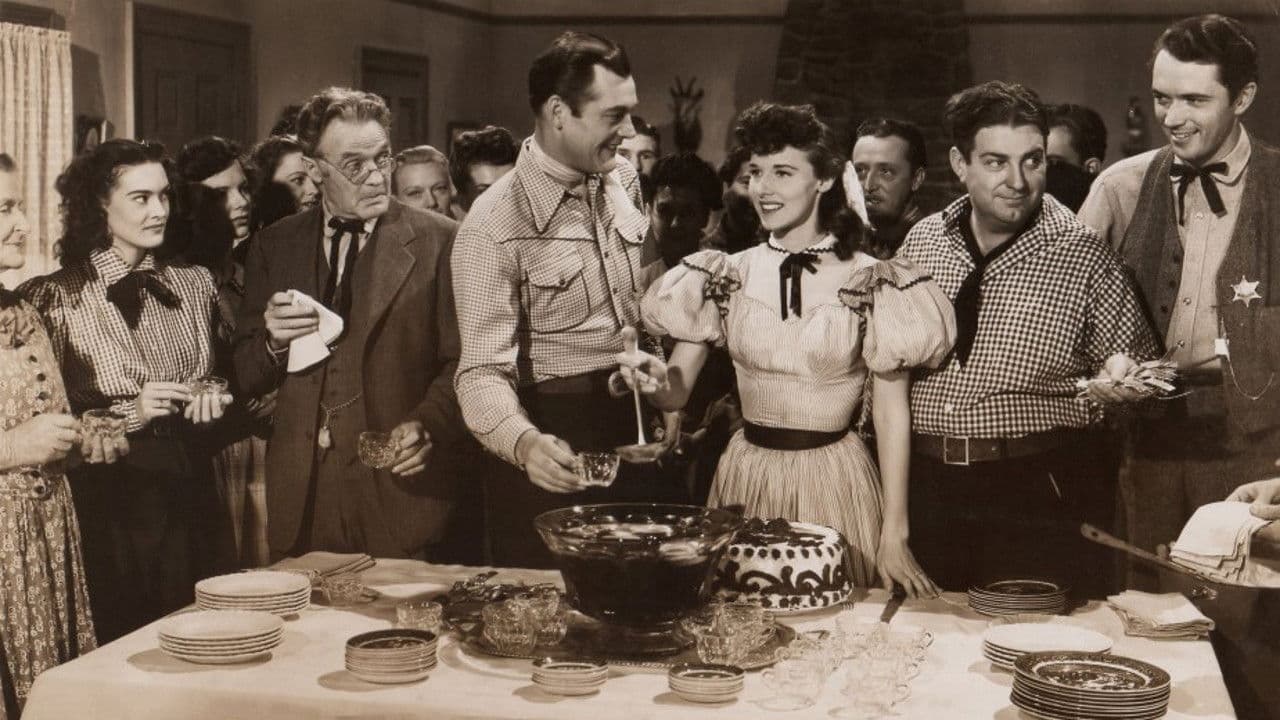 Poster backdrop for The Stranger From Ponca City