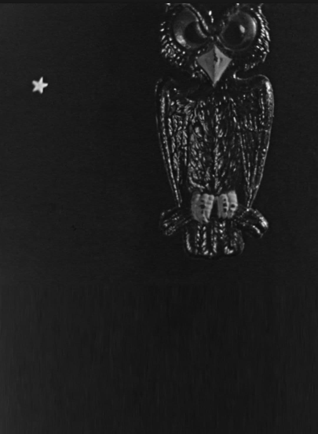 Poster backdrop for The Spider and the Fly