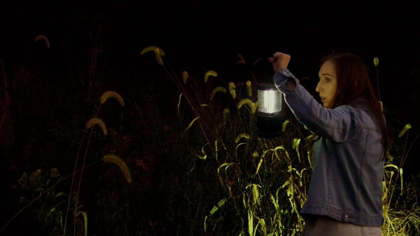 Poster backdrop for A Stranger On Earth