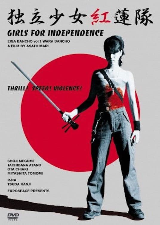 Poster backdrop for Samurai Chicks