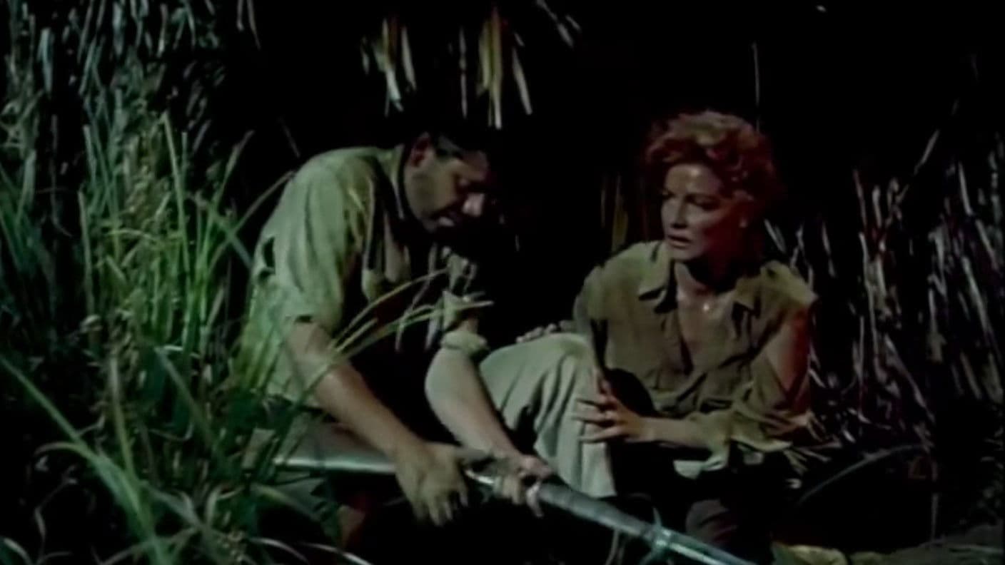 Poster backdrop for Appointment in Honduras