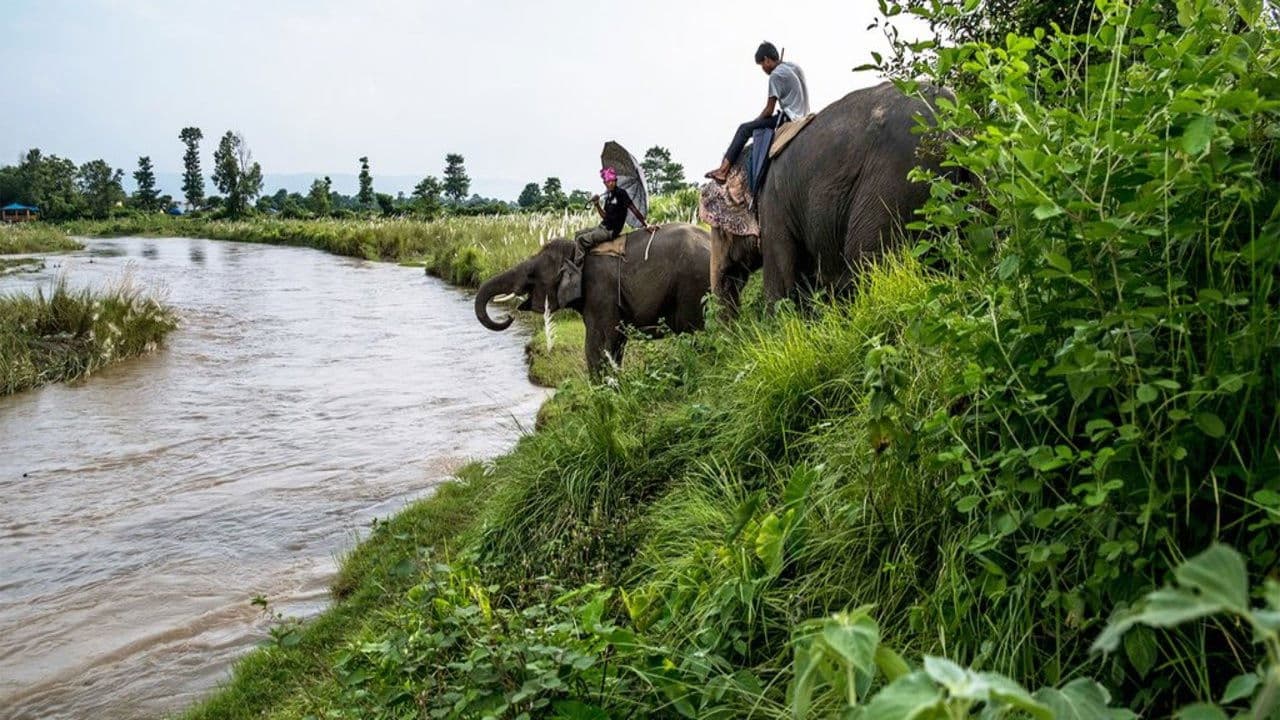 Poster backdrop for Mahendra Highway