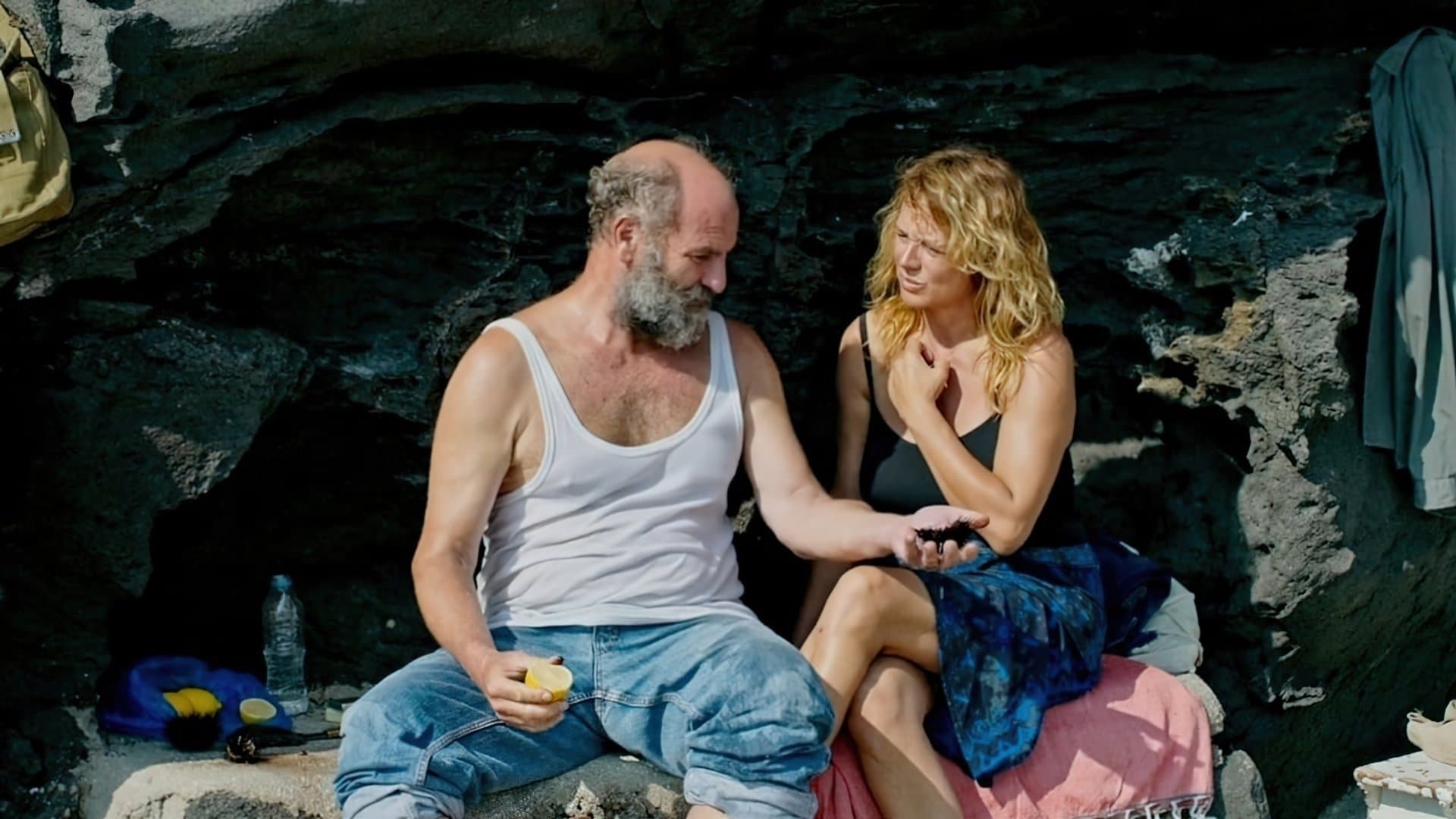 Poster backdrop for Window to the Sea