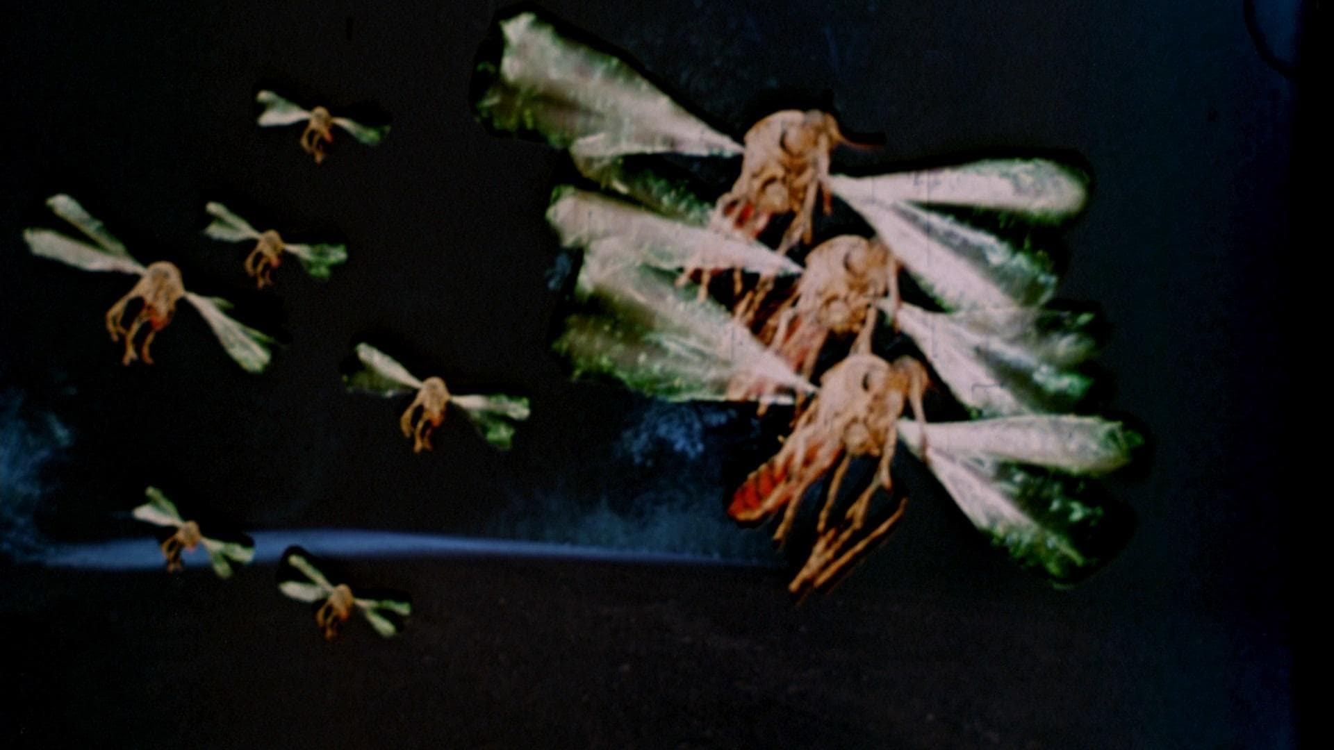 Poster backdrop for Mosquito