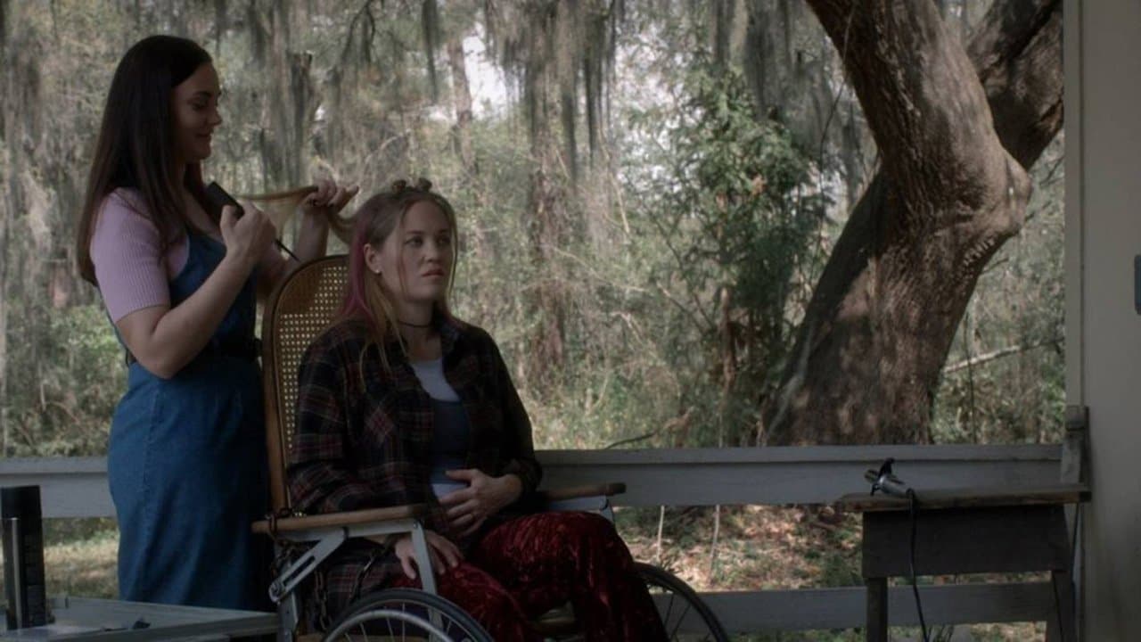 Poster backdrop for The Follower