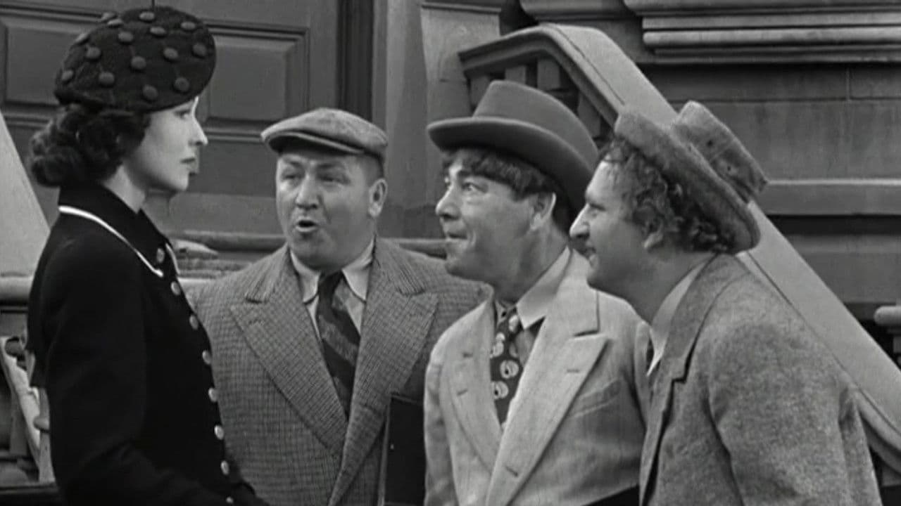 Poster backdrop for No Census, No Feeling