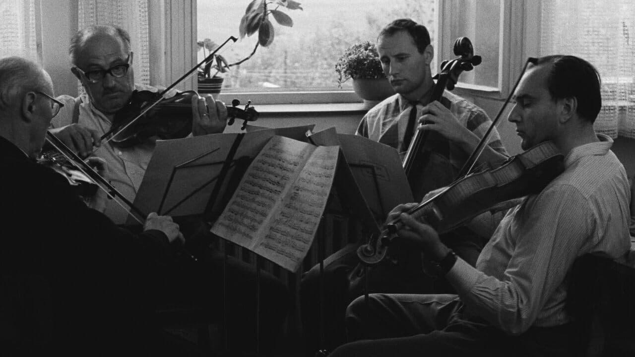 Poster backdrop for Intimate Lighting