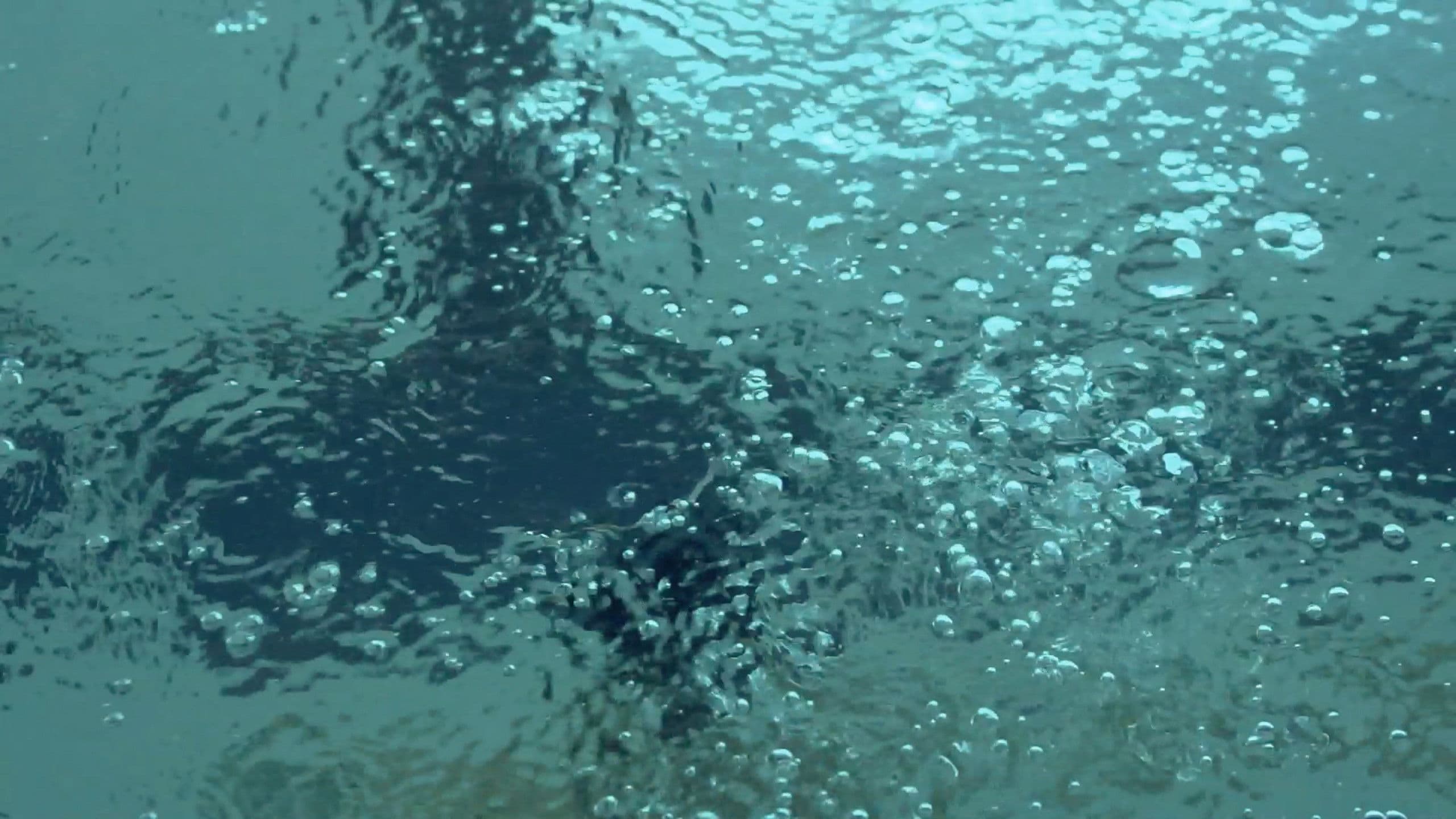 Poster backdrop for Swimming