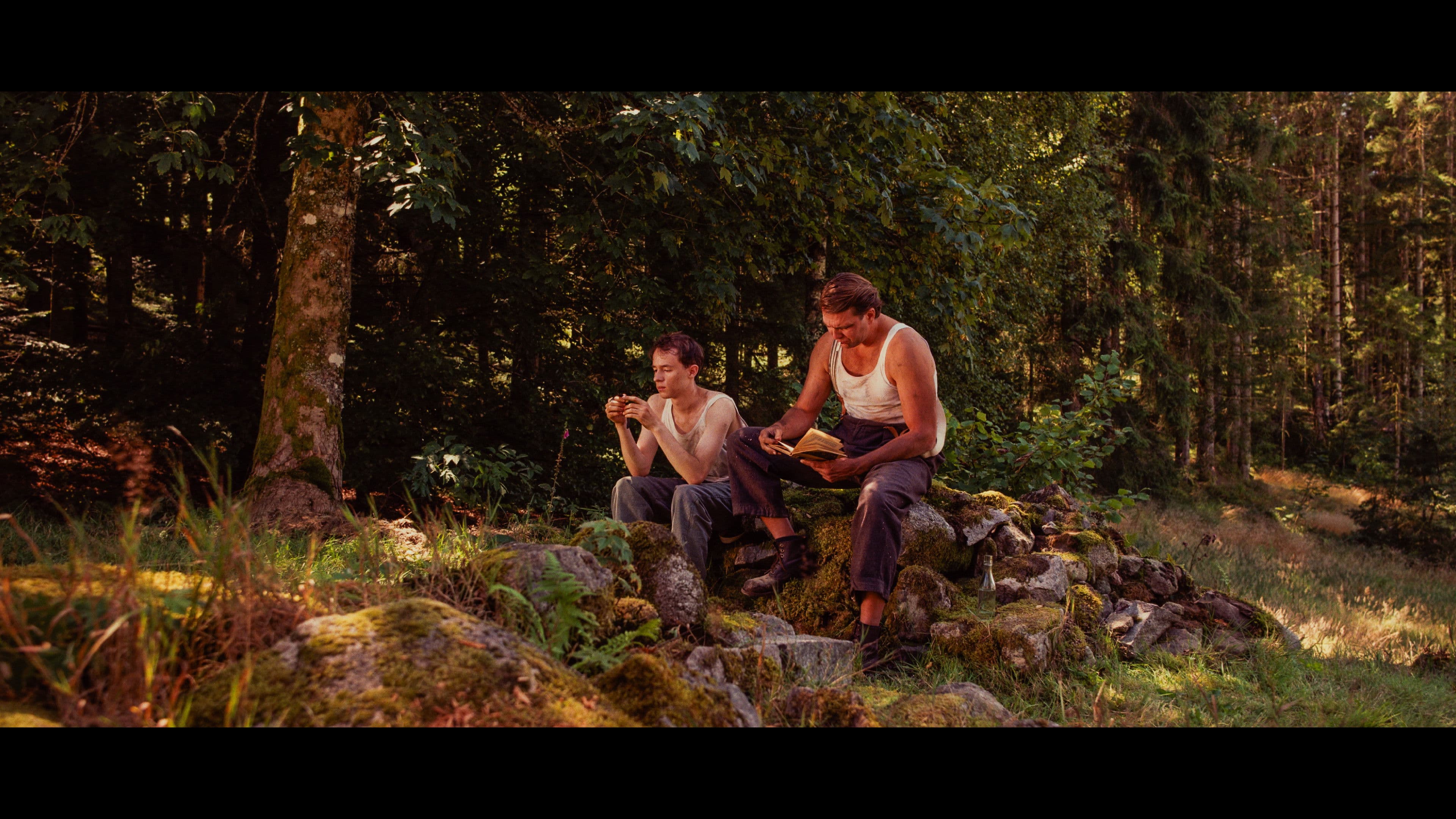 Poster backdrop for LEHITRAOT