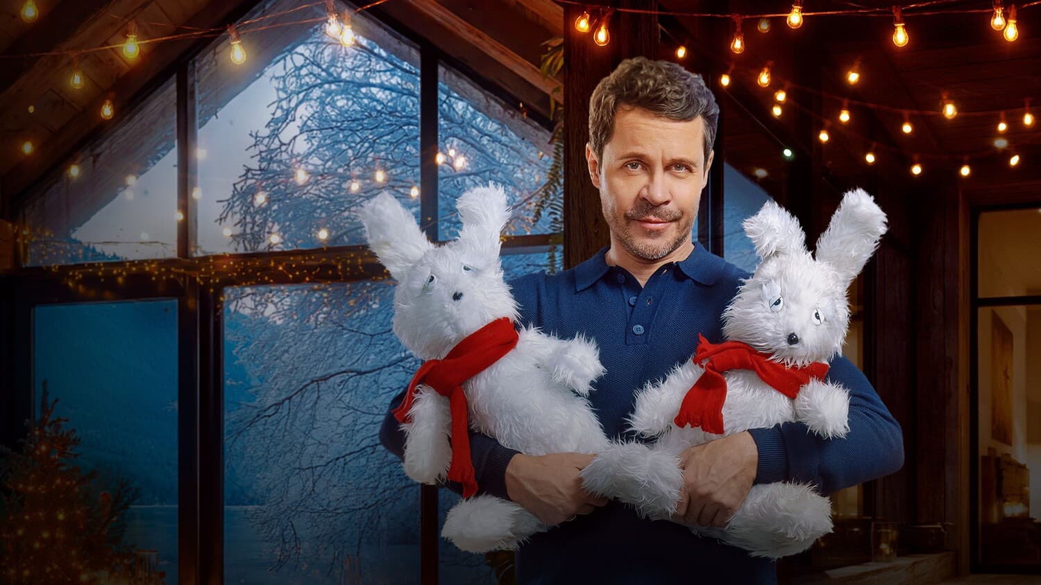 Poster backdrop for The Family Man